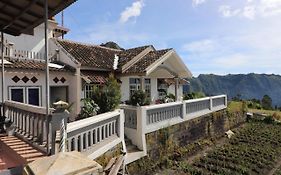 Good Karma Bromo Guesthouse